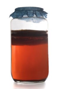 Kombucha Recipe